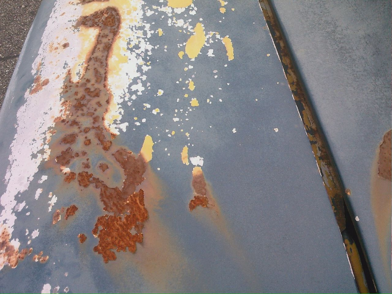 Illustration for article titled Wisconsin Rust Trip